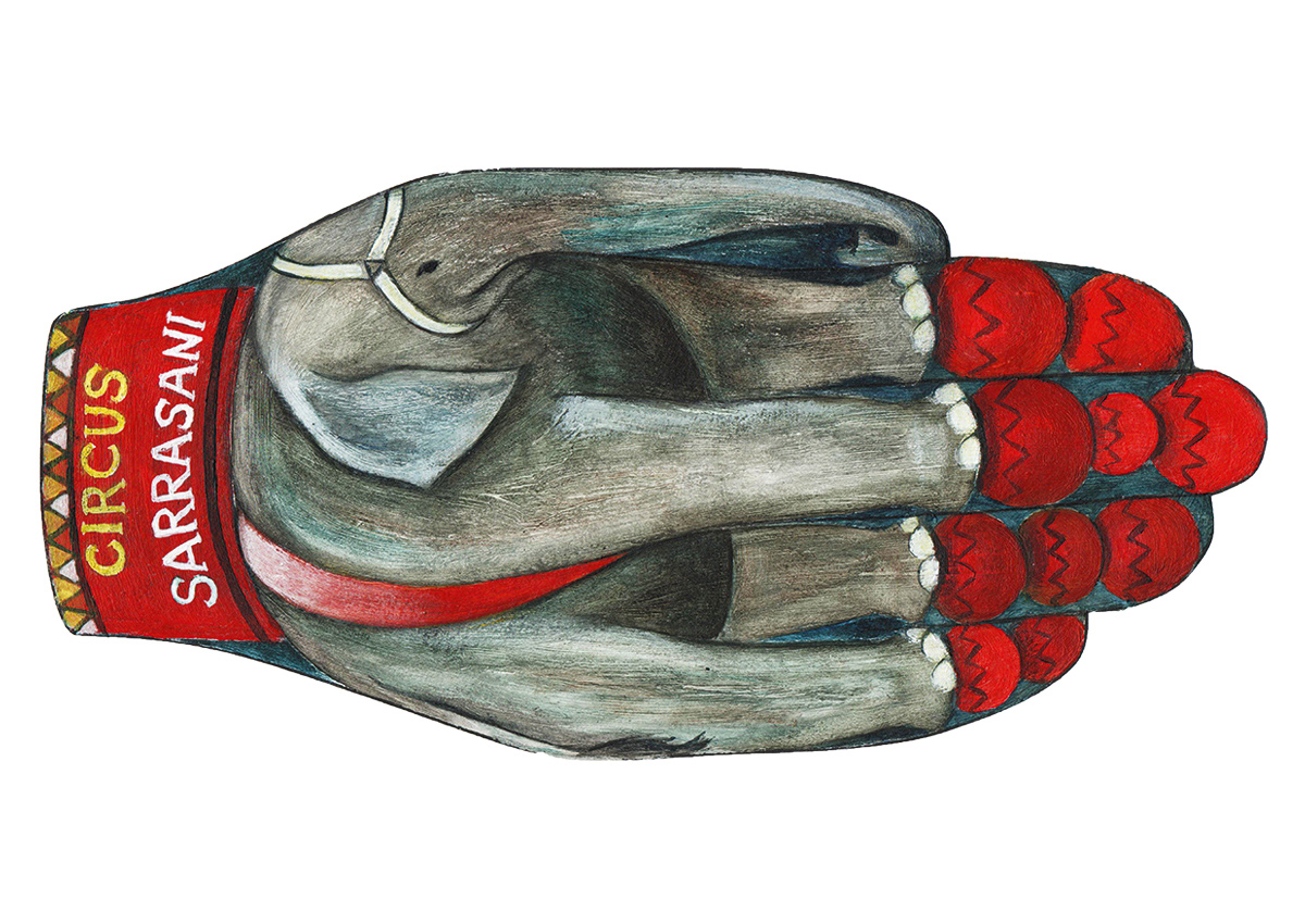 Sanne Vanderkrieken, Belgium - 2016 Winner